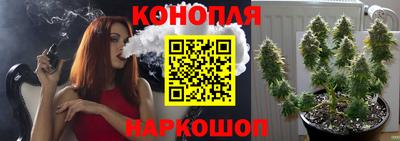 крисы Коммунар