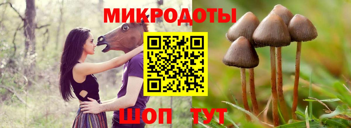 Чистополь  Галлюциногенные грибы GOLDEN TEACHER  Псилоцибиновые грибы MAGIC MUSHROOMS  купить  цена  Вход с VPN 