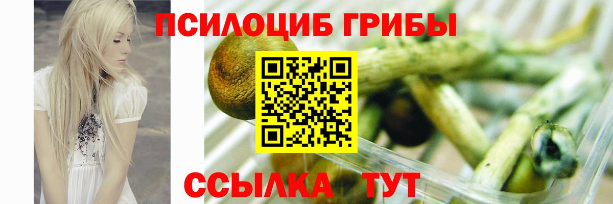 Галлюциногенные грибы прущие грибы Чистополь